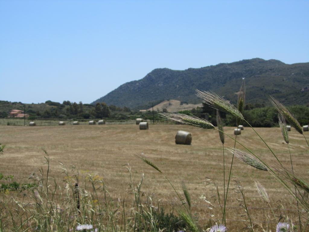 Agriturismo Sa Tiria Teulada Exterior foto